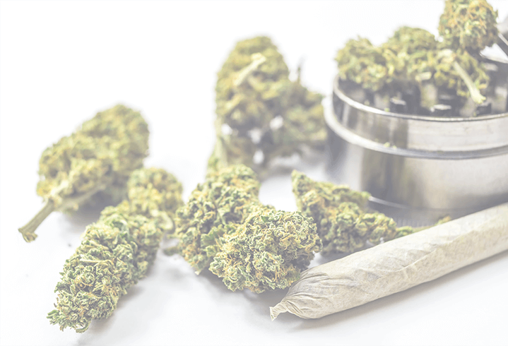 cannabis joint and flower