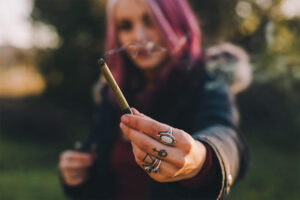 Top Cannabis Products in Egg Harbor Township, NJ Under $50