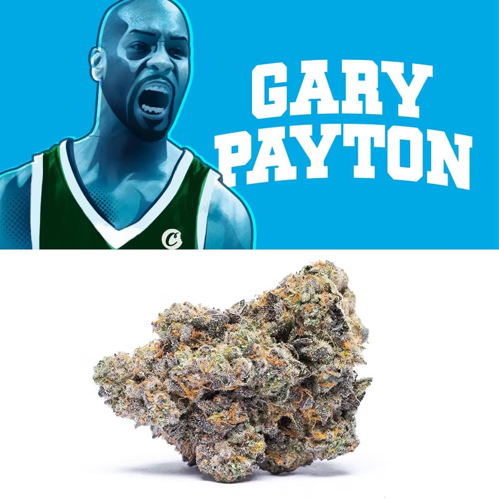 Gary Payton - hybrid cannabis