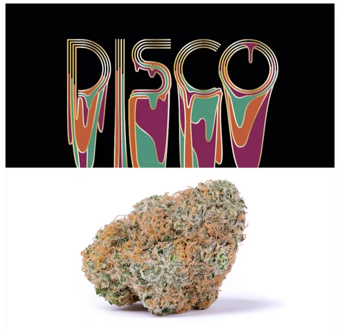 Disco - hybrid cannabis