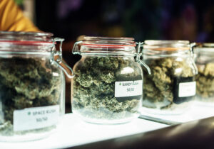 Sativa vs Indica Chart: A Helpful Guide for Egg Harbor Township, NJ
